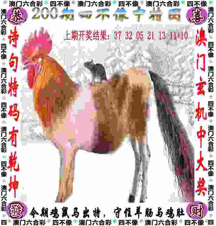 2005资料正版免费大全 v4.2.56.93 官方正式版 1