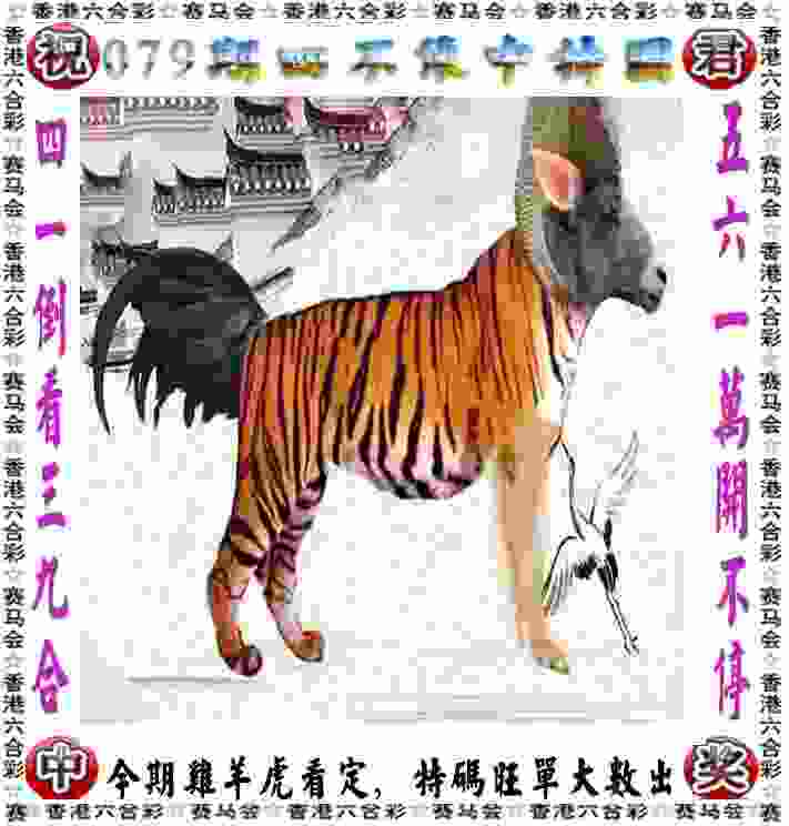 新女排的热血为新帅添底气